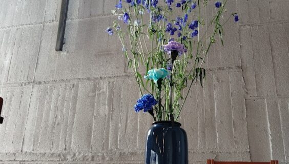 待降節第１（降誕前第４）_2025年11月30日配信