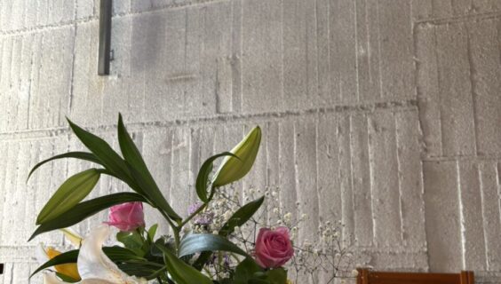 待降節第２（降誕前第３）_2025年12月7日配信