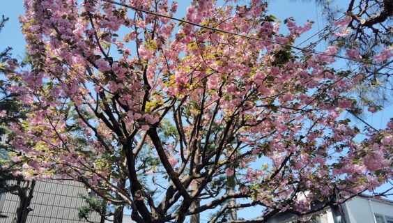 復活節第３_2026年4月19日配信