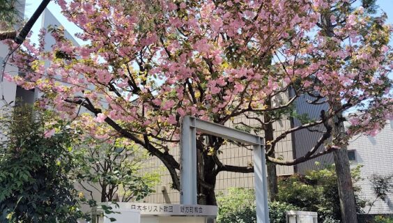 ４月２６日（日）主日礼拝のお知らせ